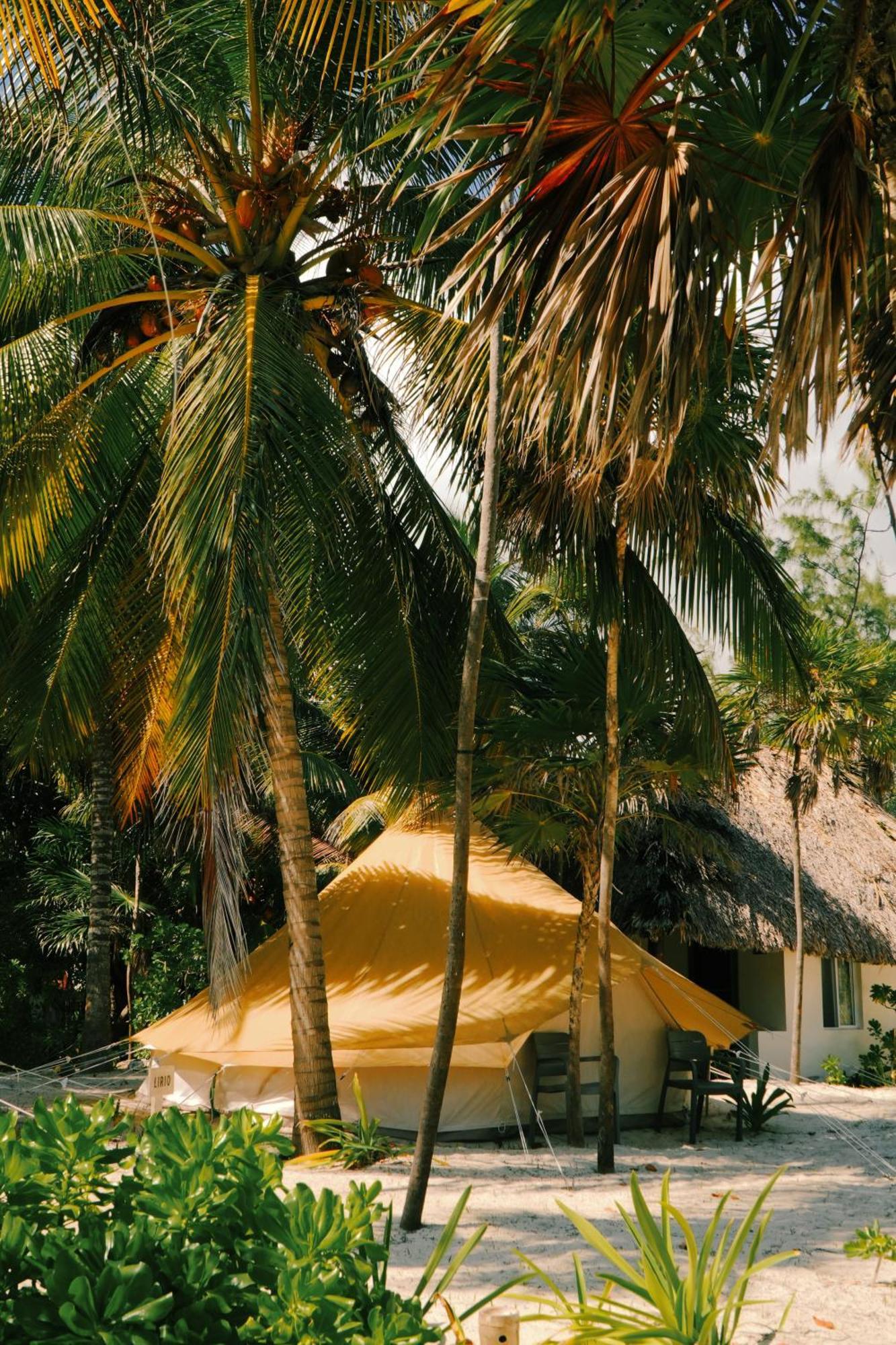 Hotel Cielo Y Selva Punta Allen Esterno foto