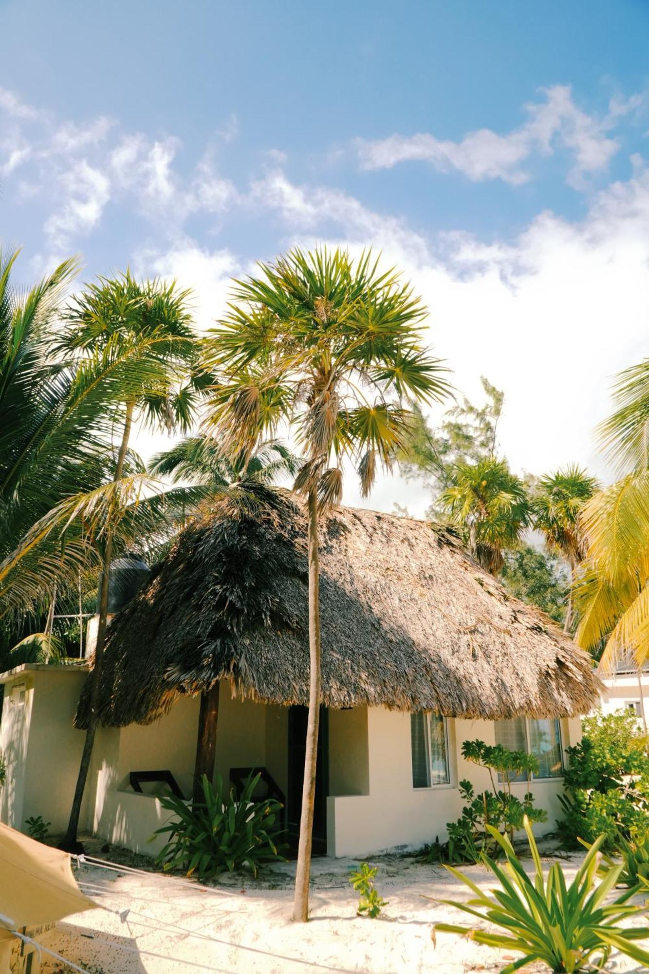 Hotel Cielo Y Selva Punta Allen Esterno foto