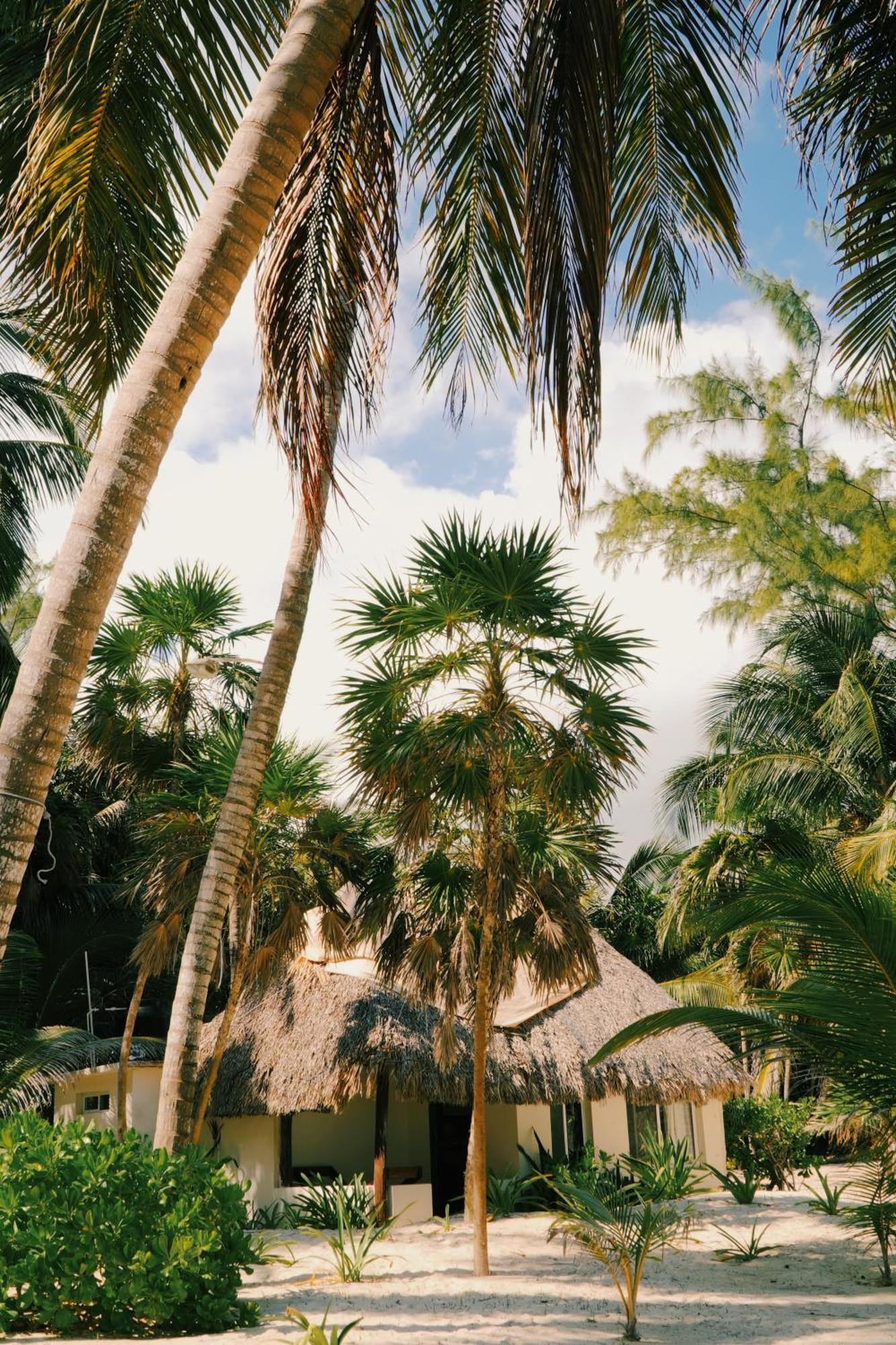 Hotel Cielo Y Selva Punta Allen Esterno foto