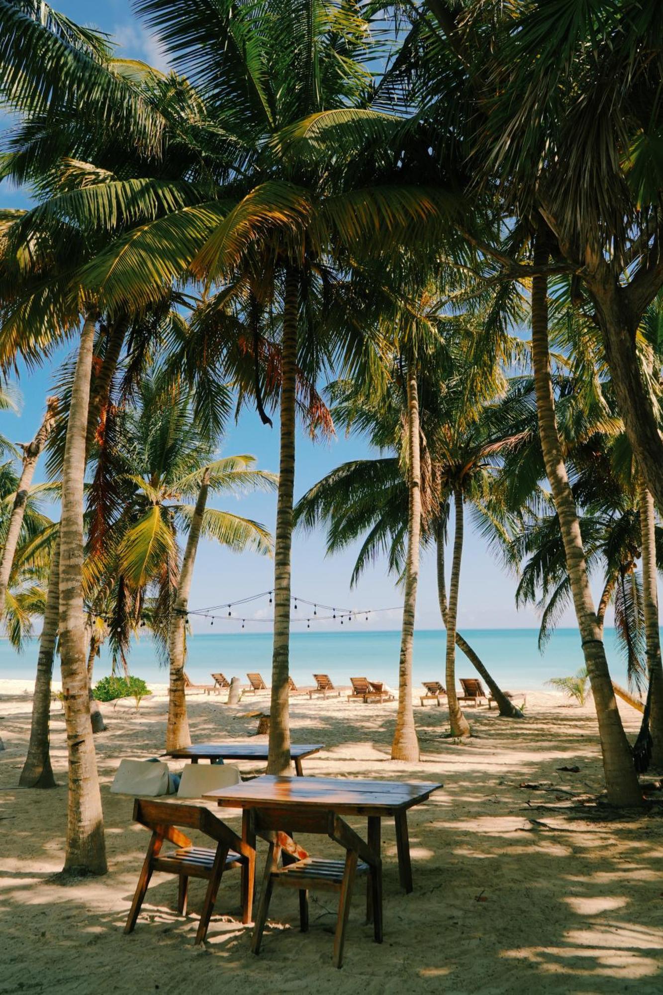 Hotel Cielo Y Selva Punta Allen Esterno foto