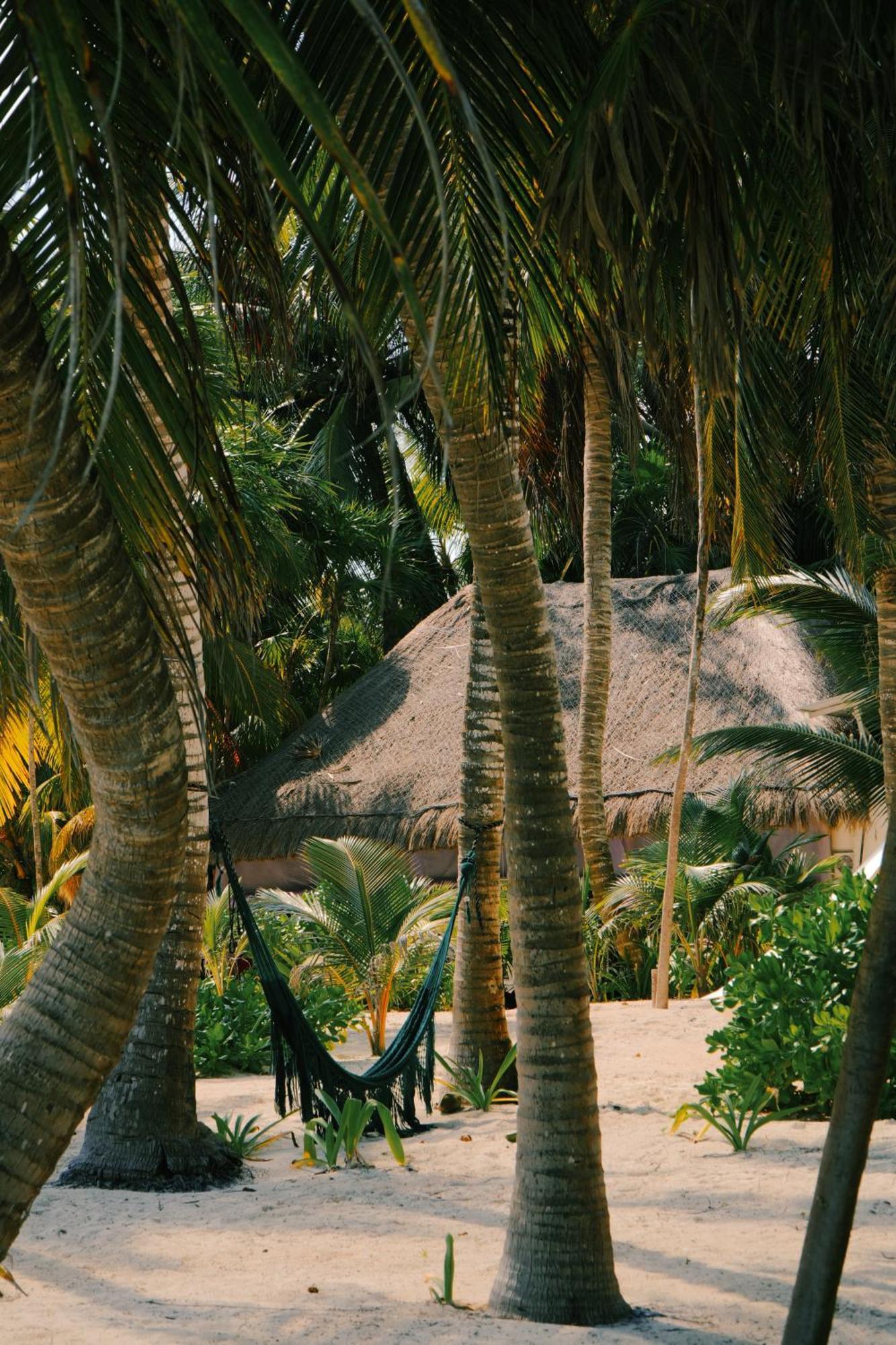 Hotel Cielo Y Selva Punta Allen Esterno foto