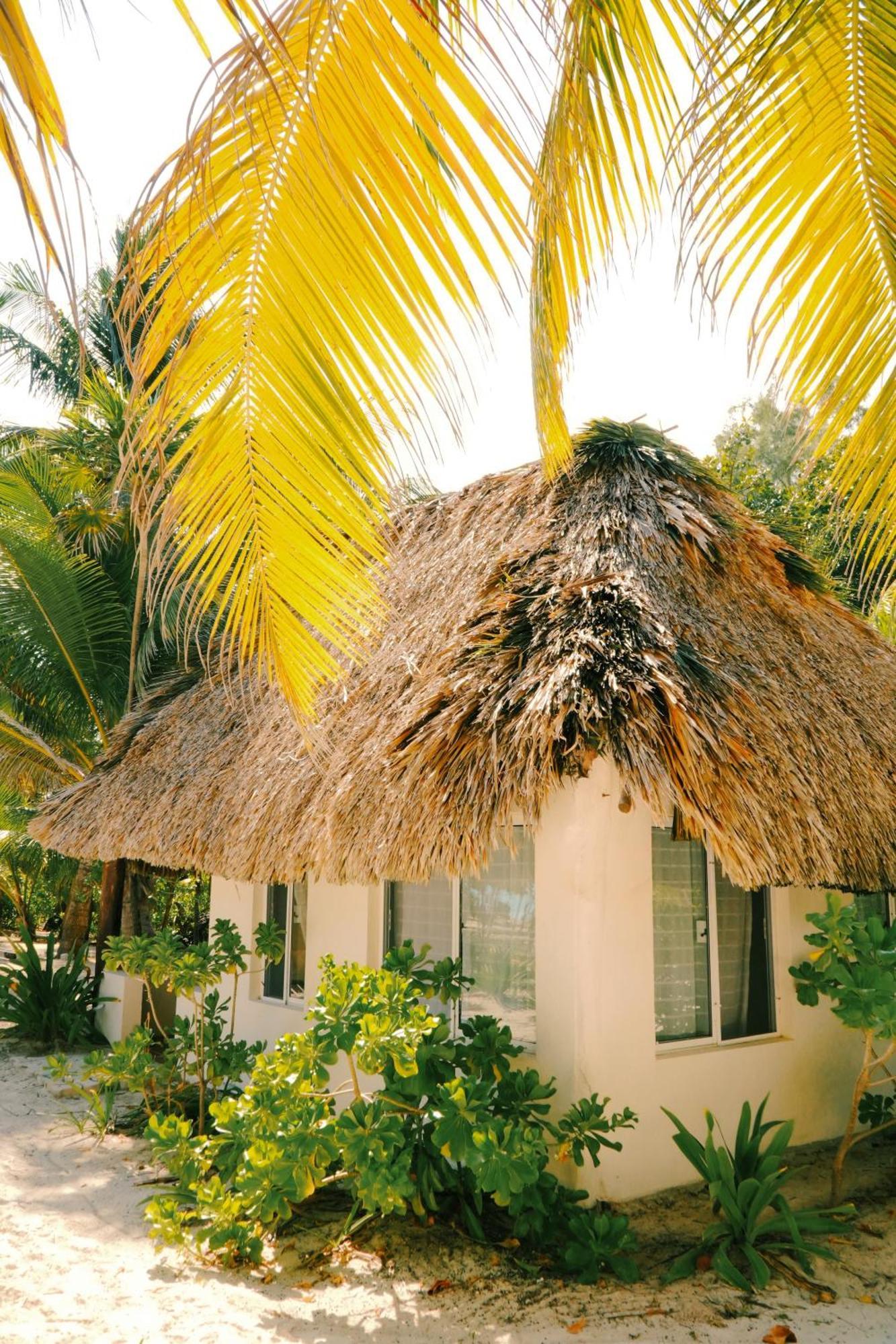 Hotel Cielo Y Selva Punta Allen Esterno foto